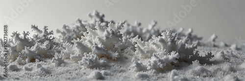 snow covered pine needles,golden wheat field,black and white image of a deer