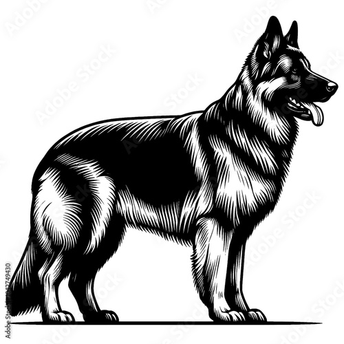 Hand drawn cute German Shepherd, vector sketch isolated on white background, SVG vector