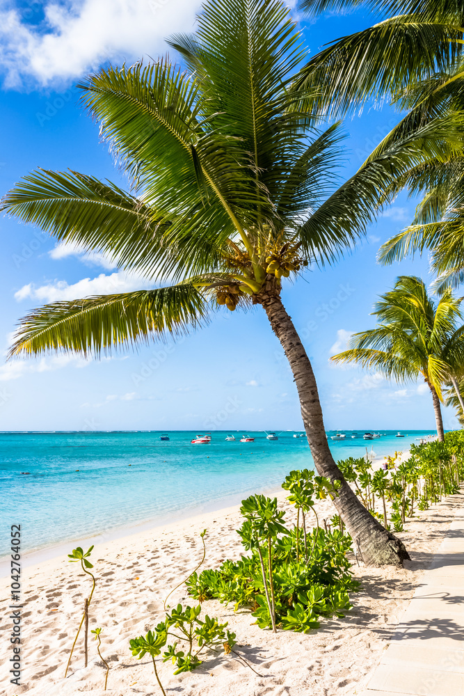 Fototapeta premium Plage du Morne Brabant, Île Maurice 