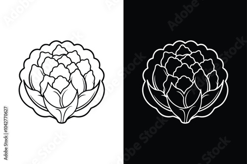Fresh Cauliflower Icon. Thin Line Illustration with Reflection, Editable Stroke Design