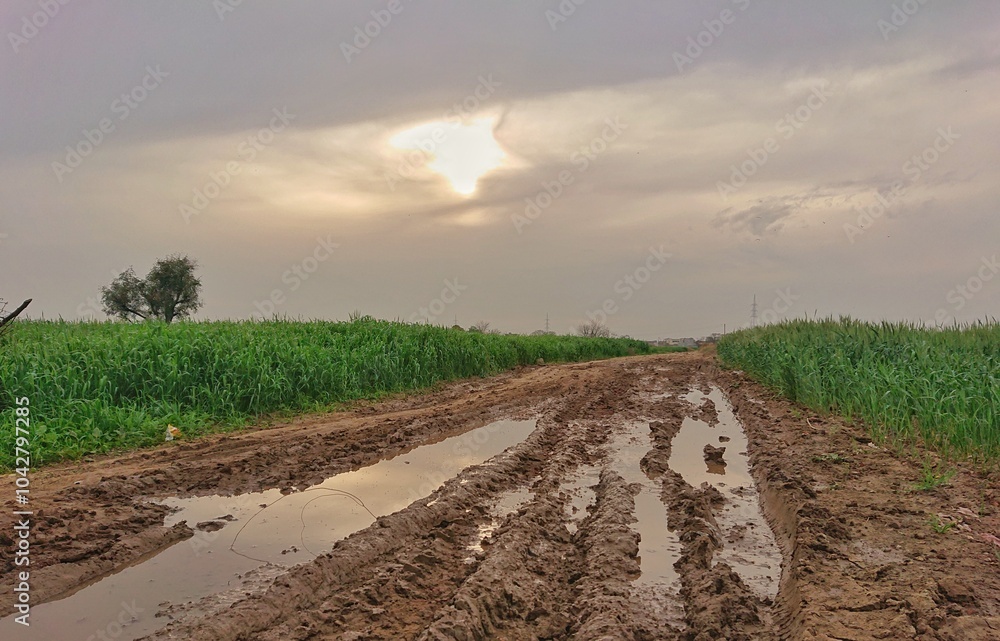 plowed field and sky with clouds after rain plowed field and sky with clouds after rain