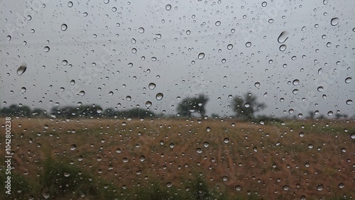 rain drops on the wind shield