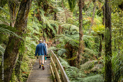 Hiking on trail through rainforest interior, Cascades Kauri walk, New Zealand photo