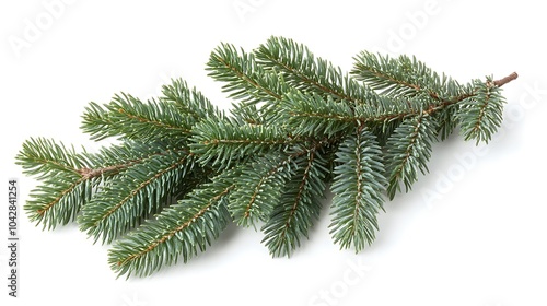 Christmas Lights Garland