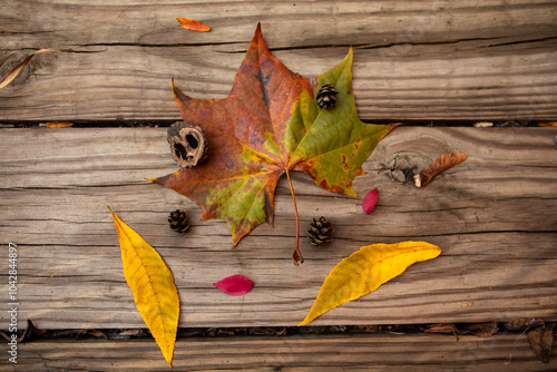 Fall leaves, pine cones, and walnut shell on a wooden surface photo