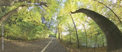 Wallpaper Mural The video begins with a shot of a park bench surrounded by colorful autumn leaves. The camera then pans to the left, revealing a tree with a large, twisted trunk. The camera continues to pan left Torontodigital.ca