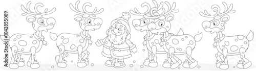 Santa Claus and his funny magical flying reindeers before start of their Christmas travel, black and white outline vector cartoon illustration for a coloring book