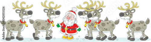 Santa Claus and his funny magical flying reindeers before start of their Christmas travel, vector cartoon illustration on a white background