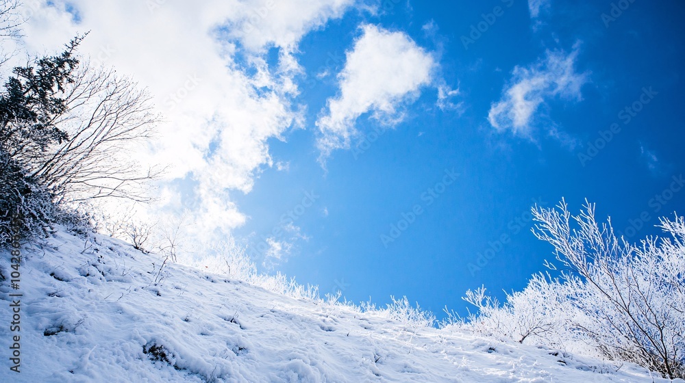 A serene winter scene featuring a snow-covered slope under a bright blue sky with scattered clouds, evoking a tranquil and peaceful atmosphere. A serene winter scene featuring a snow-covered slope under a bright blue sky with scattered clouds, evoking a tranquil and peaceful atmosphere.