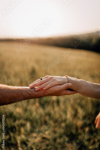 Hands reaching out during sunset in a peaceful field