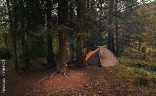 Tent in backcountry 