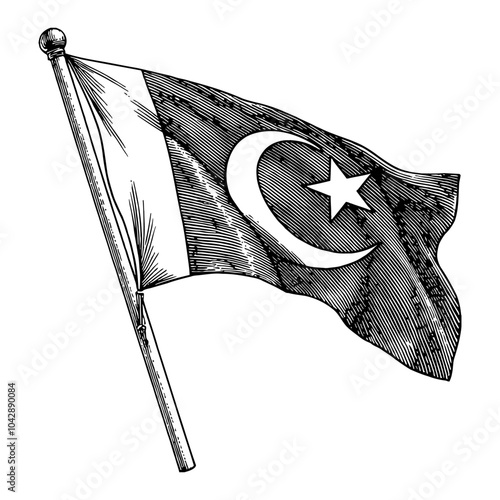 Pakistan National Flag in Black and White Outline Line Art Drawing with Waving Design