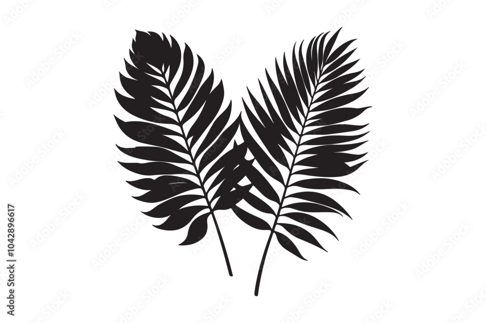 Obraz premium tropical two separated black leaf silhouette 63.eps