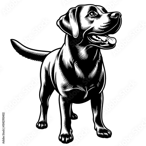 Hand drawn cute Labrador retriever, vector sketch isolated on white background, SVG vector
