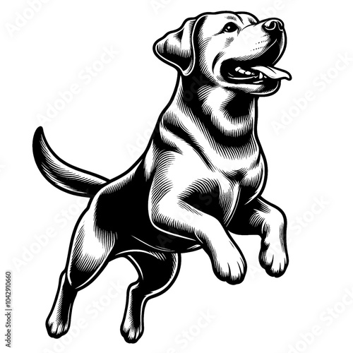 Hand drawn cute Labrador retriever, vector sketch isolated on white background, SVG vector
