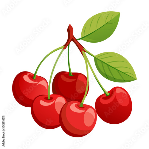 bunches of cherry vector art , Vector illustration of cherry.