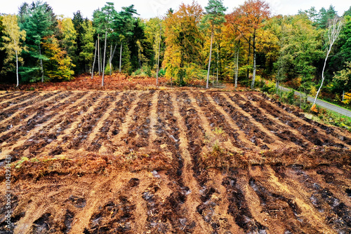 Fotografie Clearing moorland for agriculture destroying peat bogs