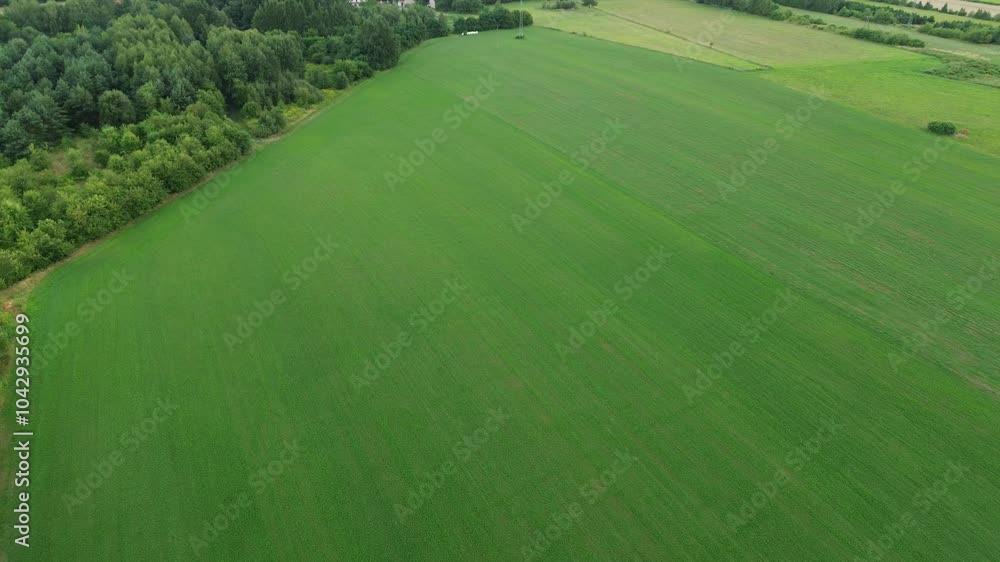 Aerial view of vibrant green agricultural fields Aerial view of vibrant green agricultural fields
