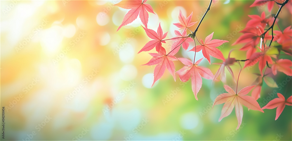 Fototapeta premium 紅葉の玉ボケが綺麗な背景イメージ