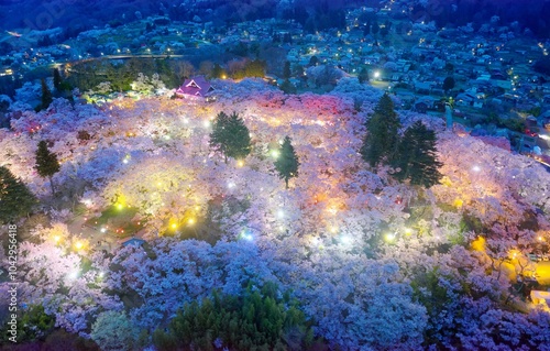 Wallpaper Mural Aerial dusk panorama above Takato Castle Site Park 高遠城址公園, which is a famous spot for Hanami Matsuri, with pink Sakura (cherry blossom) trees blooming all over the hillside, in Ina City, Nagano, Japan Torontodigital.ca