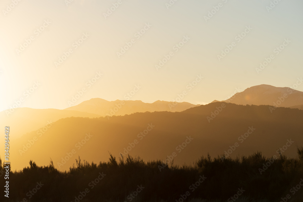 Fototapeta premium Looking towards the Ruahine Range at dawn