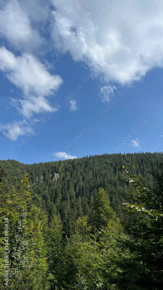 Panoramic view of forested mountains in Poland and the Czech Republic. Panoramic view of forested mountains in Poland and the Czech Republic.