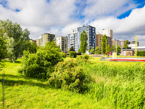 Lush green garden with residential buildings in background photo