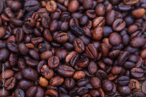 Tableau sur toile Background and texture of robusta coffee beans or Coffea canephora