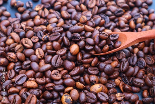 Robusta coffee beans or Coffea canephora in a wooden spoon on a pile of coffee beans, close up view.
