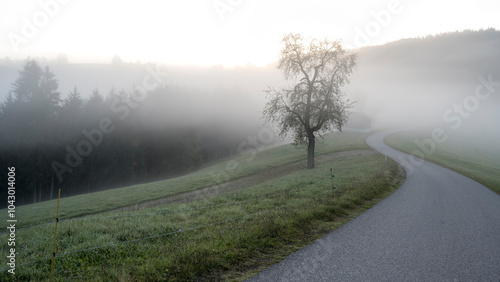 Bild auf Leinwand wafts of fog in the mountains of Austria