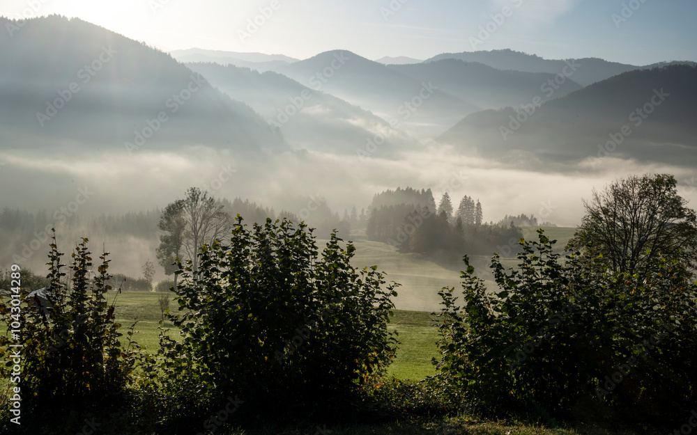 Fototapeta premium wafts of fog in the mountains of Austria
