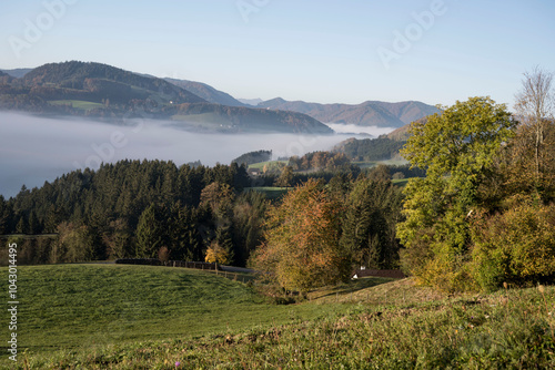 wafts of fog in the mountains of Austria photo