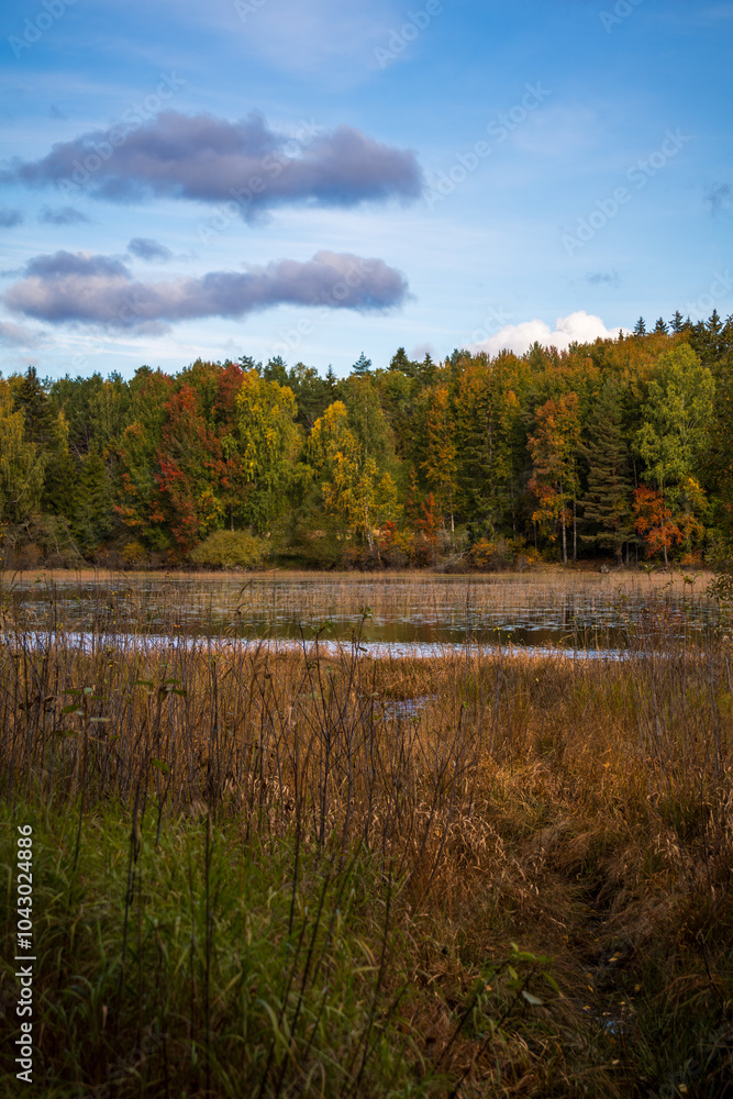 Fototapeta premium autumn landscape with river and trees