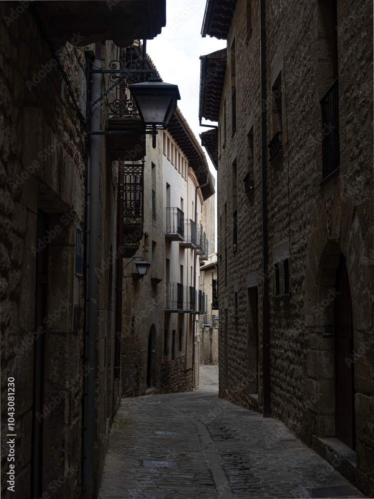 Fototapeta premium Pretty cobbled street of the village Sos del Rey Católico in Zaragoza. Aragón. Spain