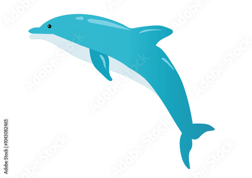 vector art and illustration of a dolphin