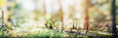 Forest blur panorama