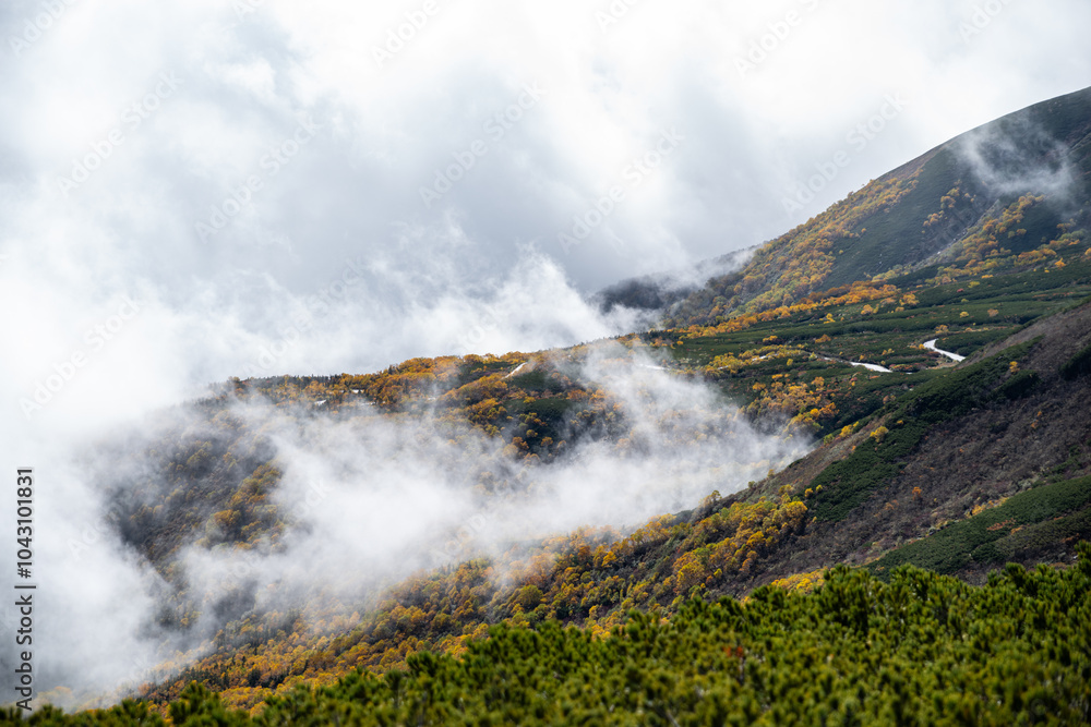 紅葉する山から雲が湧く風景 乗鞍岳 紅葉する山から雲が湧く風景 乗鞍岳