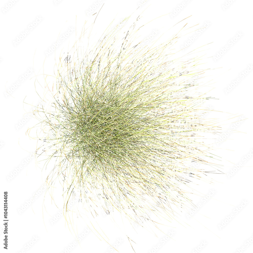 collection of Green grass with realistic style collection of Green grass with realistic style