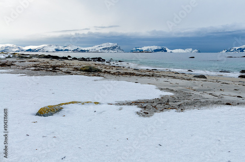 A snowy beach with a view of snow-capped mountains on the horizon. The sky is cloudy and the water is calm.