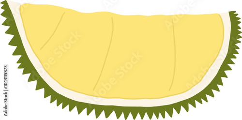 Hand-drawn durian slice illustration