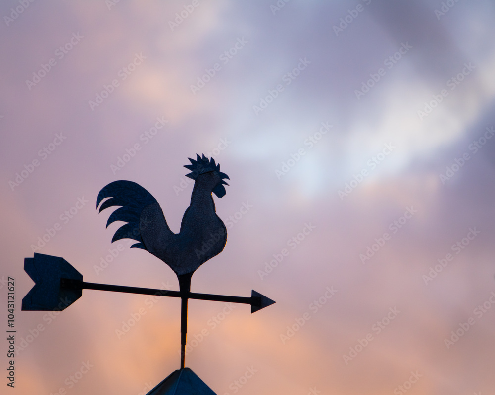 Fototapeta premium Weather vane on the roof against the backdrop of sunset