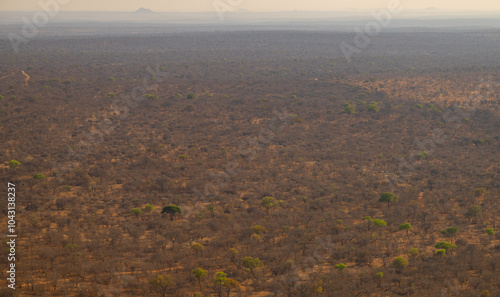 Obraz na płótnie Luftbild Landschaftsbild - Flora Botanik Busch im Krüger National Park - Kruger Nationalpark Südafrika w salonie