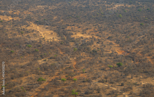 Obraz na płótnie Luftbild Landschaftsbild - Flora Botanik Busch im Krüger National Park - Kruger Nationalpark Südafrika w salonie