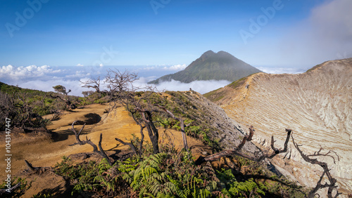 Ijen volcano. Java. Indonesia