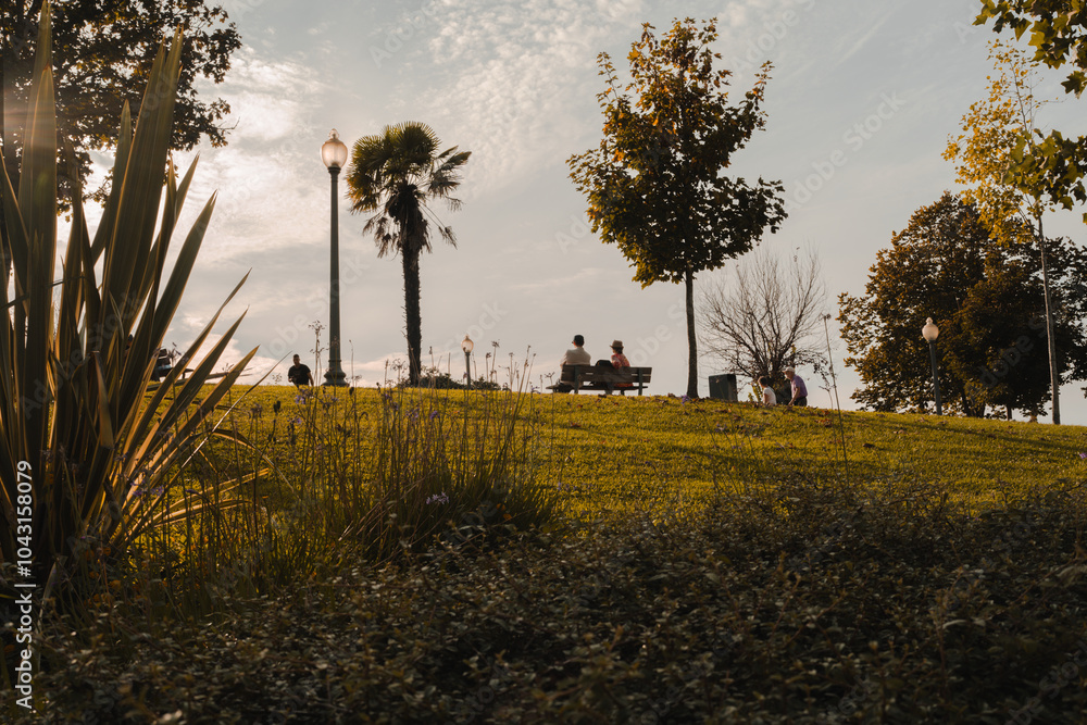 Obraz premium Peaceful park