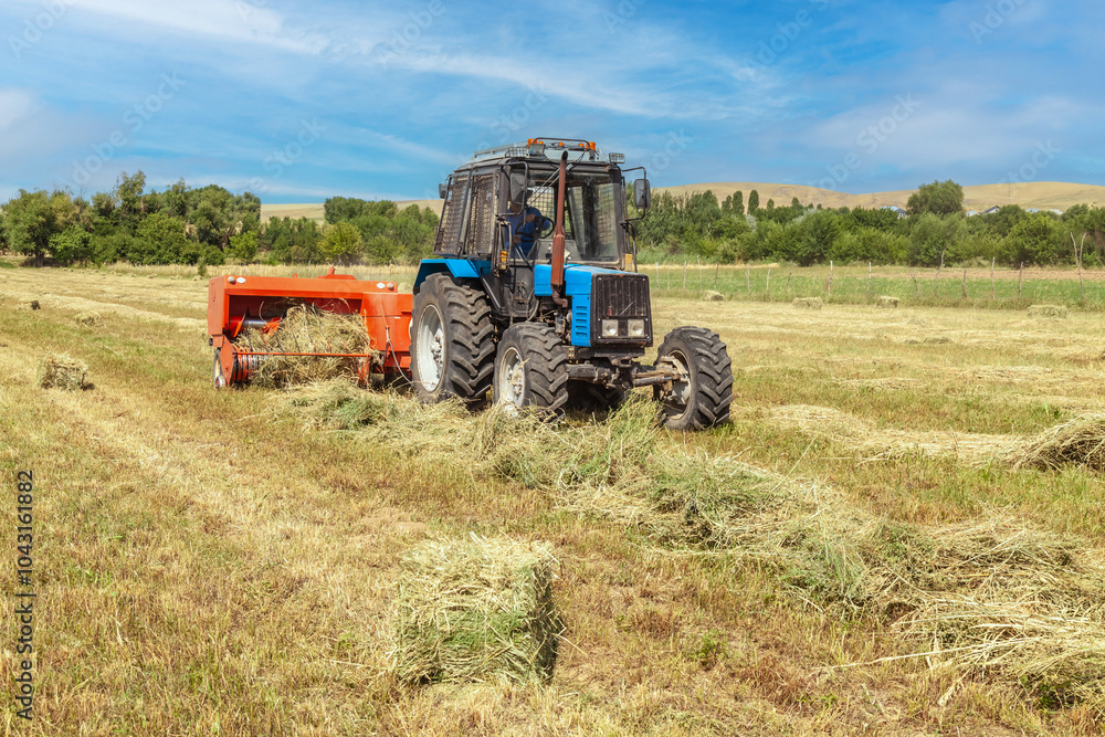Obraz premium Tractor with a trailed baler collects hay. Tractor with a hay baler.