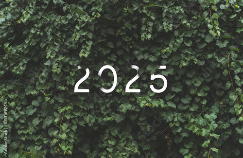 2025 New year white text hidden in natural green leaves wall