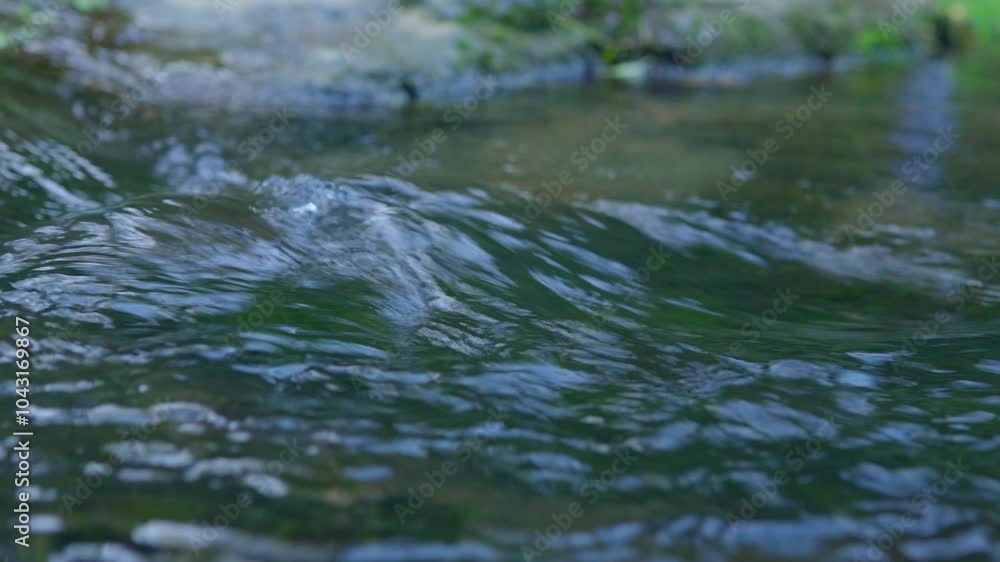 Close-up view of a tranquil stream flowing gently over rocks, surrounded by natural greenery, capturing the essence of peacefulness and calm in a serene outdoor environment. Close-up view of a tranquil stream flowing gently over rocks, surrounded by natural greenery, capturing the essence of peacefulness and calm in a serene outdoor environment.