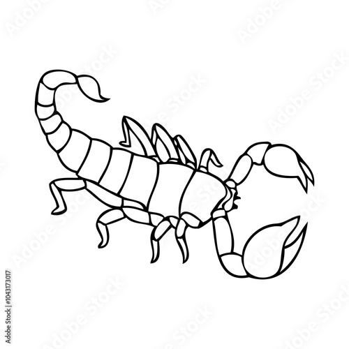 scorpion line vector illustration