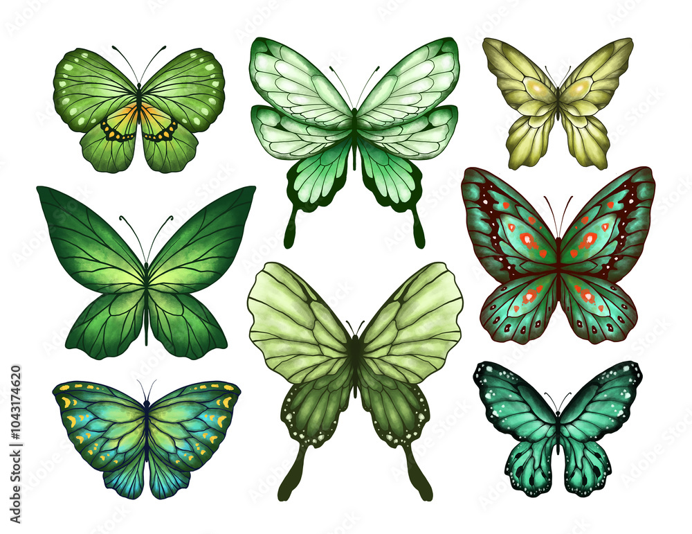 Fototapeta premium Butterfly Collection Illustration Set. Beautiful Watercolor Tropical Moths Isolated on White Background. Flying Cute Insects with Colorful Wings